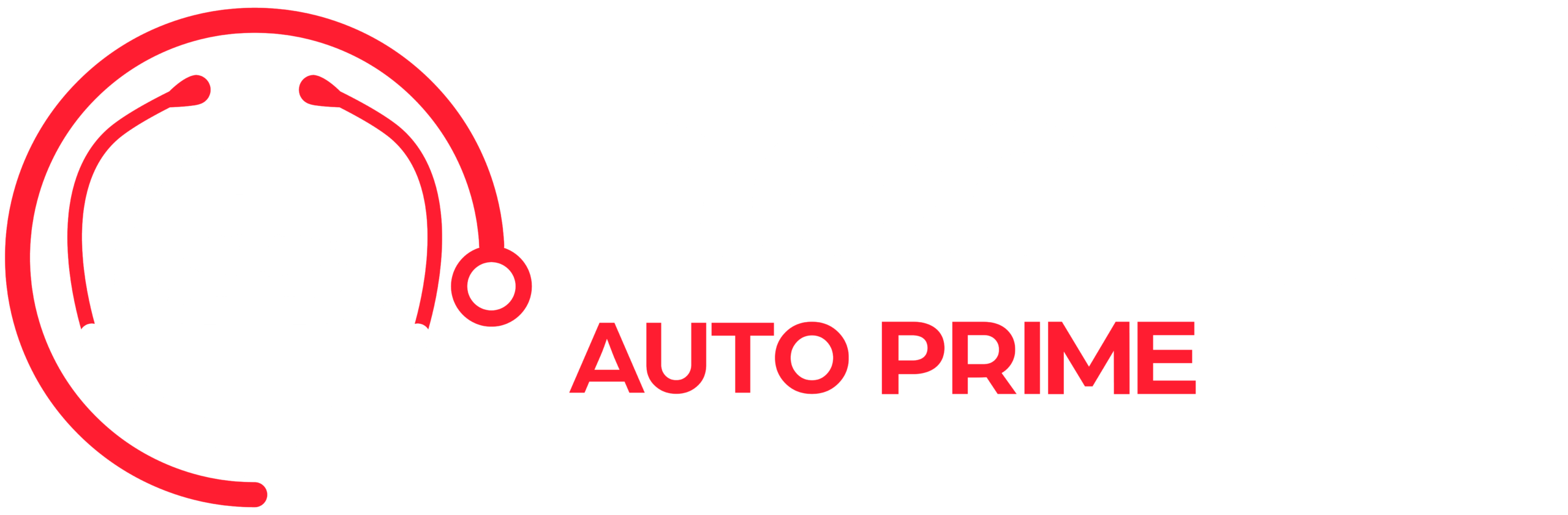 Doctor Auto Prime